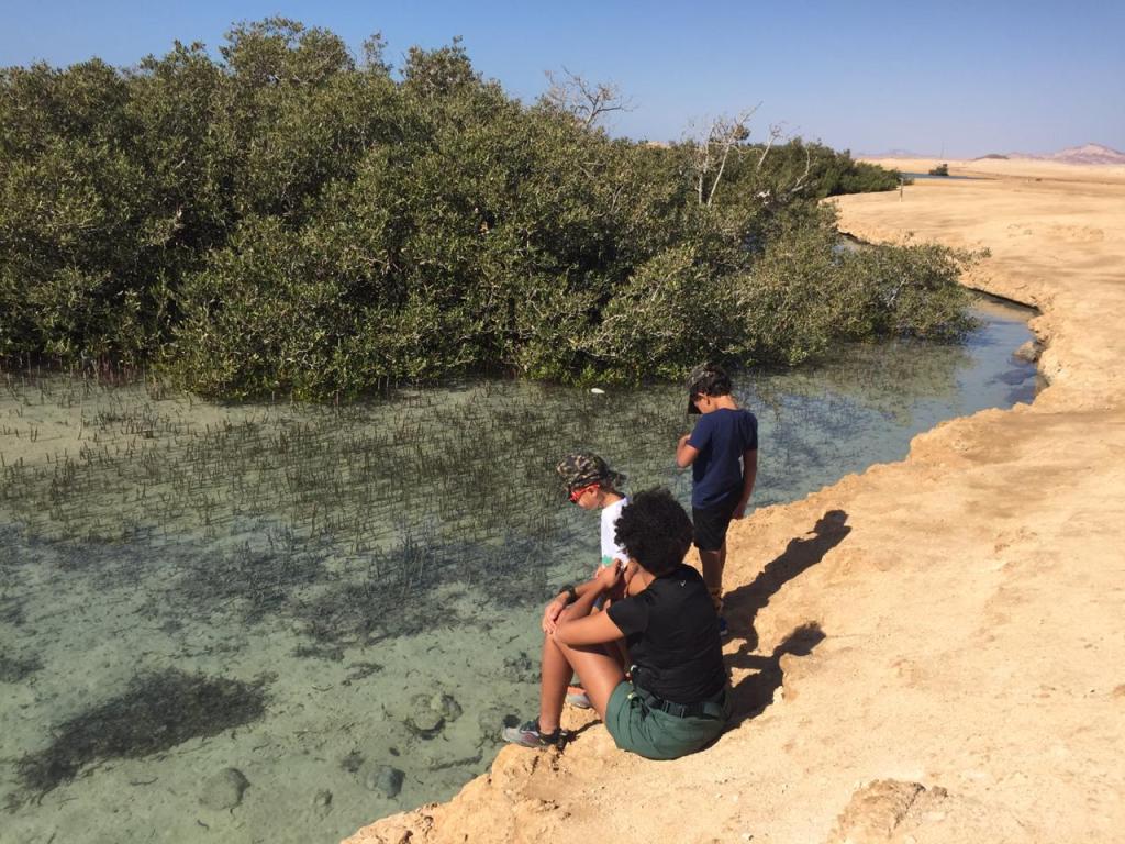 It is time to do something&nbsp;different!